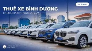 Dịch Vụ Thuê Xe Bình Dương – Đội Xe Hiện Đại, Đẳng Cấp!