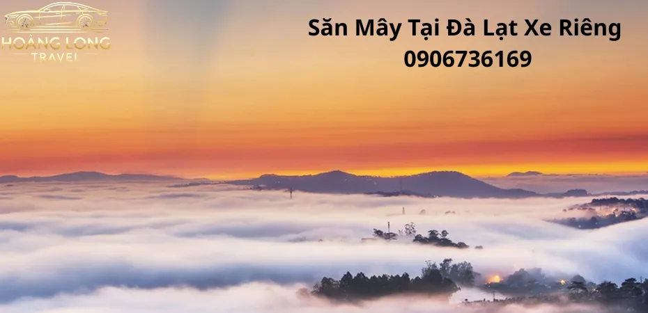 Săn Mây Đà Lạt Bằng Xe Riêng - Hoàng Long Travel
