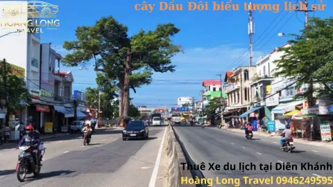 Thuê Xe Du Lịch Tại Diên Khánh Có Tài Xế - Hoàng Long Travel