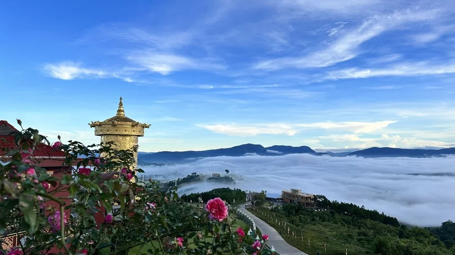 Thuê Xe Du Lịch Tại Đà Lạt Có Tài Xế - Chiêm Ngưỡng Cảnh Đẹp Mà Chỉ Có Nơi Đây