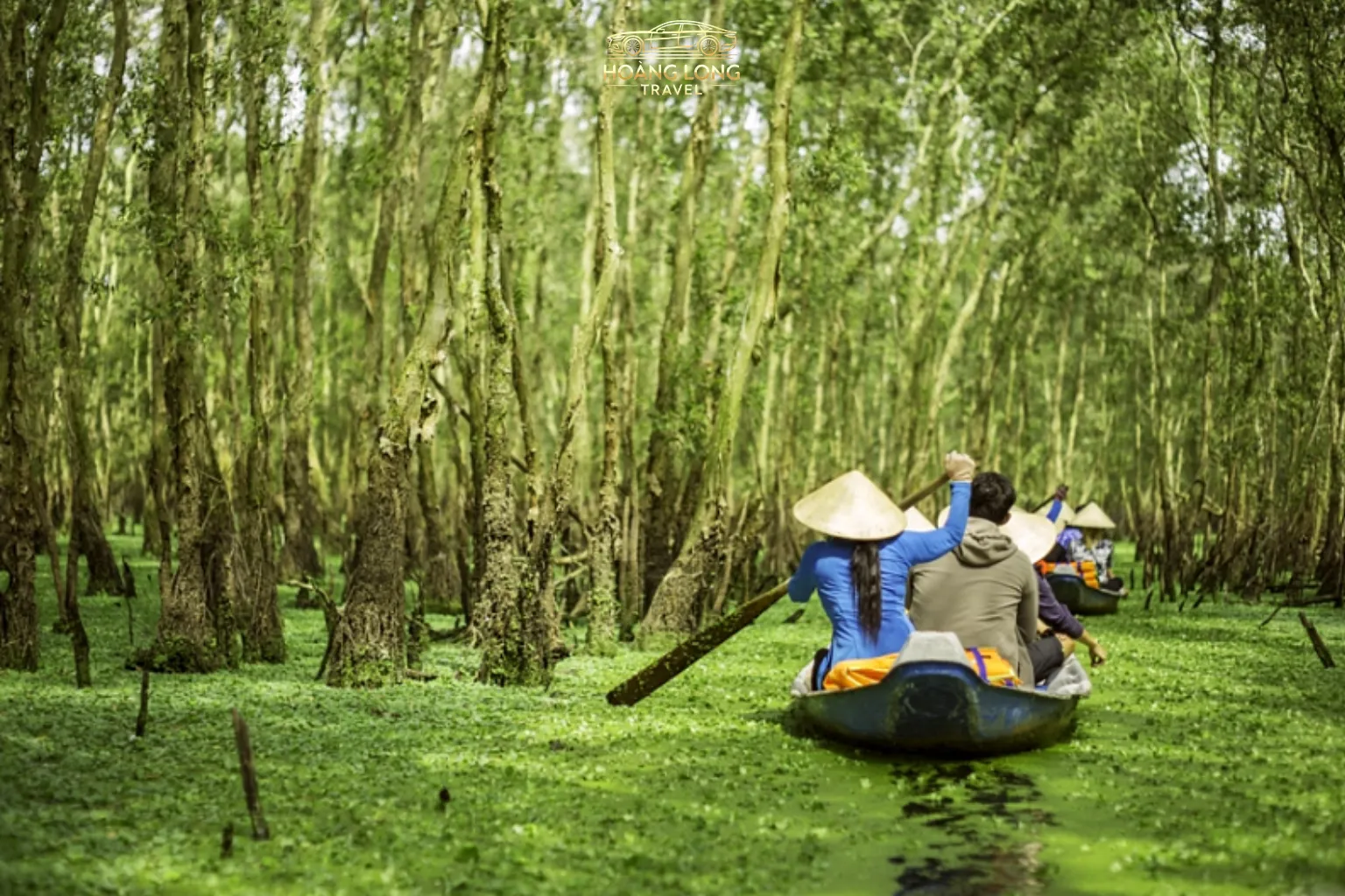 U Minh Thượng – vùng đất rừng tràm nguyên sinh, kênh rạch đan xen, thiên nhiên hoang sơ kỳ thú.Lý tưởng cho chuyến đi thư giãn, hòa mình vào cảnh sắc sông nước miền Tây độc đáo.