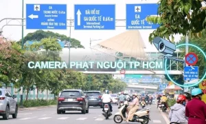 Cách Kiểm Tra Phạt Nguội Ô Tô Tp Hồ Chí Minh - Chính Xác 99,9 %